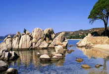 爱游戏体育-赛地聚焦：CBA常规赛赛前热度飙升，布莱顿外线爆发，赛场秩序良好，资深球员宣示担当的简单介绍-爱游戏体育